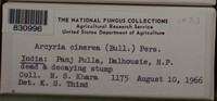 Image Associated With the Occurence